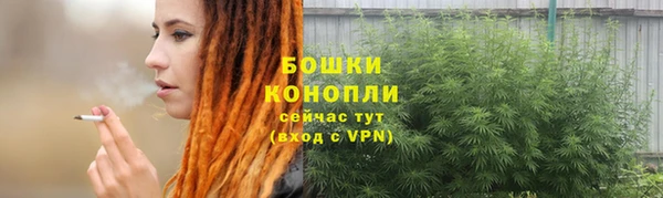 ПСИЛОЦИБИНОВЫЕ ГРИБЫ Абаза