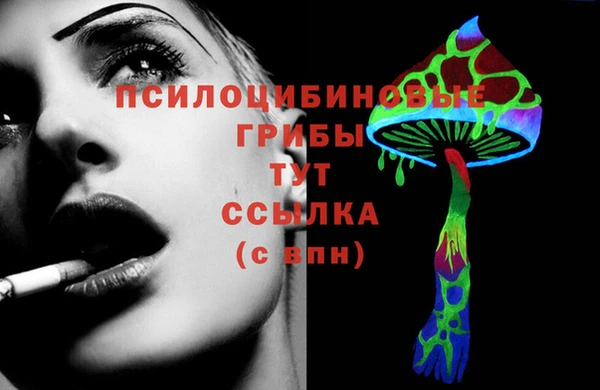 молекула духа Алексеевка